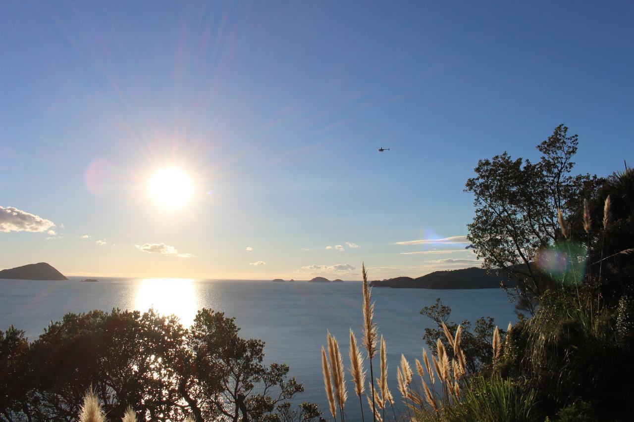 Villa Island View Experience à Coromandel Extérieur photo